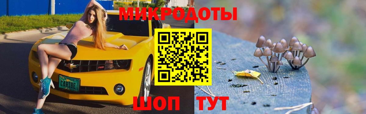 Галлюциногенные грибы MAGIC MUSHROOMS  Вход с VPN  Гатчина 