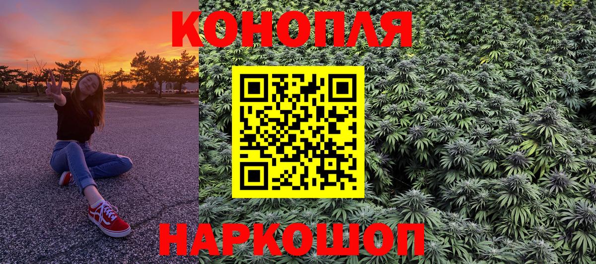 Конопля планчик Гатчина