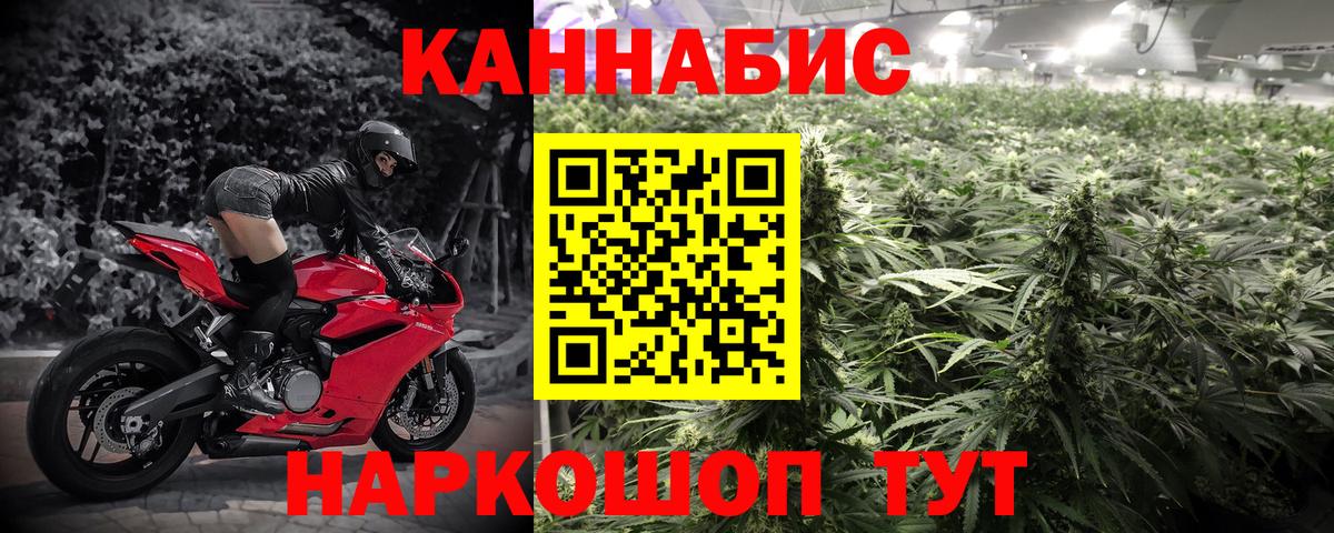 МАРИХУАНА Ganja  Шишки марихуана тримм  Гатчина  Каннабис THC 21%  Вход с VPN 